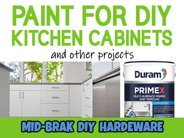 Paint for DIY Kitchen Cabinets Reebok