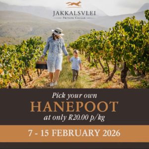 2026 Pick your own Hanepoot | Jakkalsvlei