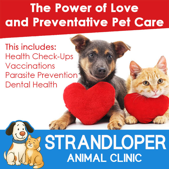 Preventative Pet Care Hartenbos