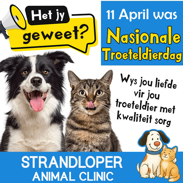 Strandloper Dierekliniek vier Nasionale Troeteldierdag elke Dag