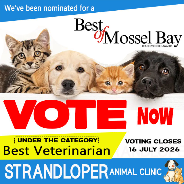 Vote Strandloper Animal Clinic in Best of Mossel Bay 2026