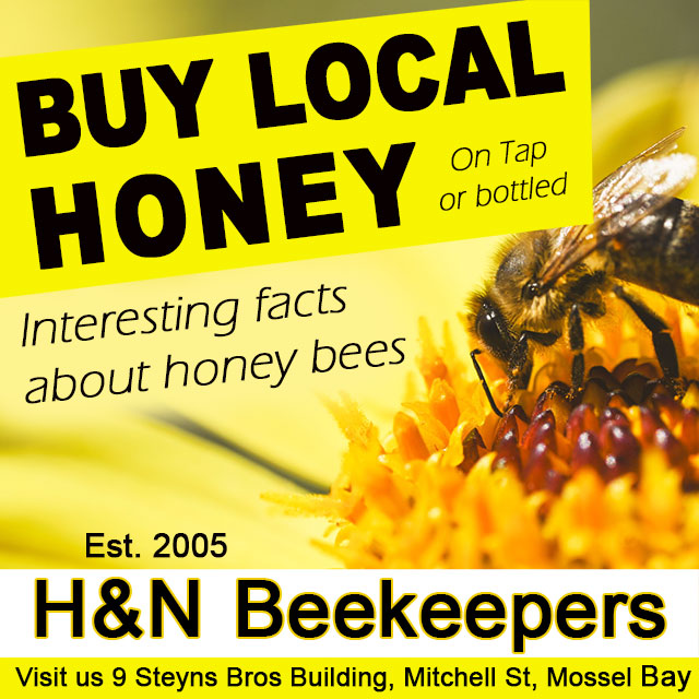 Buy Local Honey in Mossel Bay